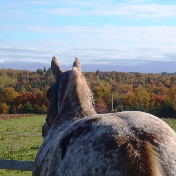 Meet your Posher, Diane - Picture 1 of 1